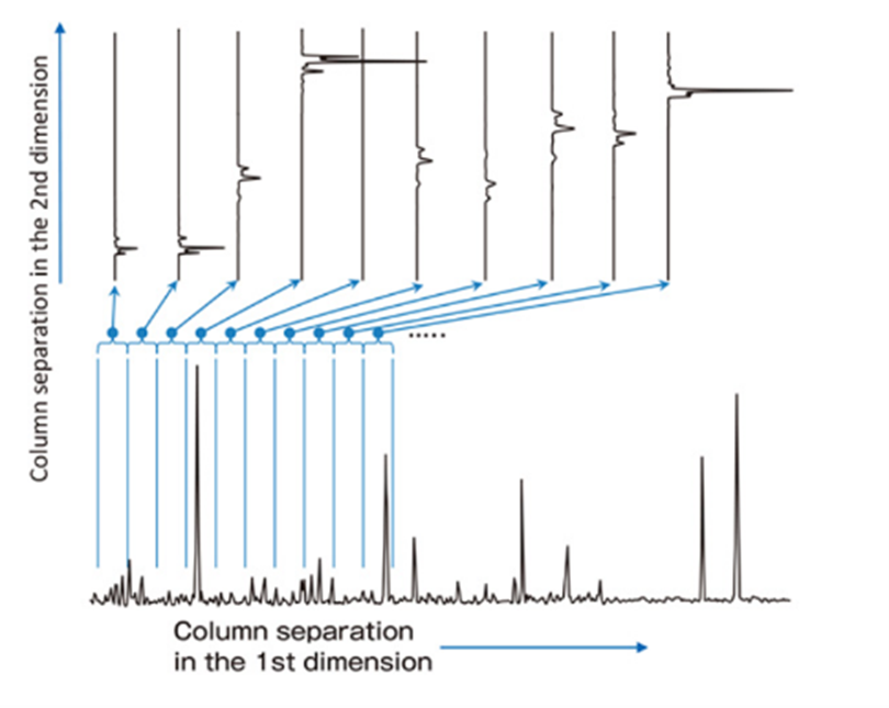 GCxGC分離概念圖