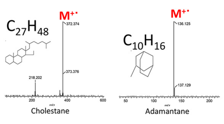 膽甾烷和金剛烷的PI質譜圖