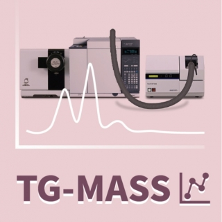 <b>質譜儀-Mass</b> TG-MASS (熱重-質譜分析儀)分析技術