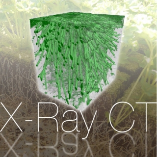 <b>X-ray影像</b> X-Ray CT 應用於地質以及植物研究